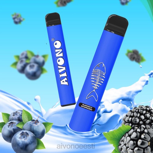 Aivono AIM FISHBONE 600 mustikas vaarikas 4P4L281 - Aivono Eesti