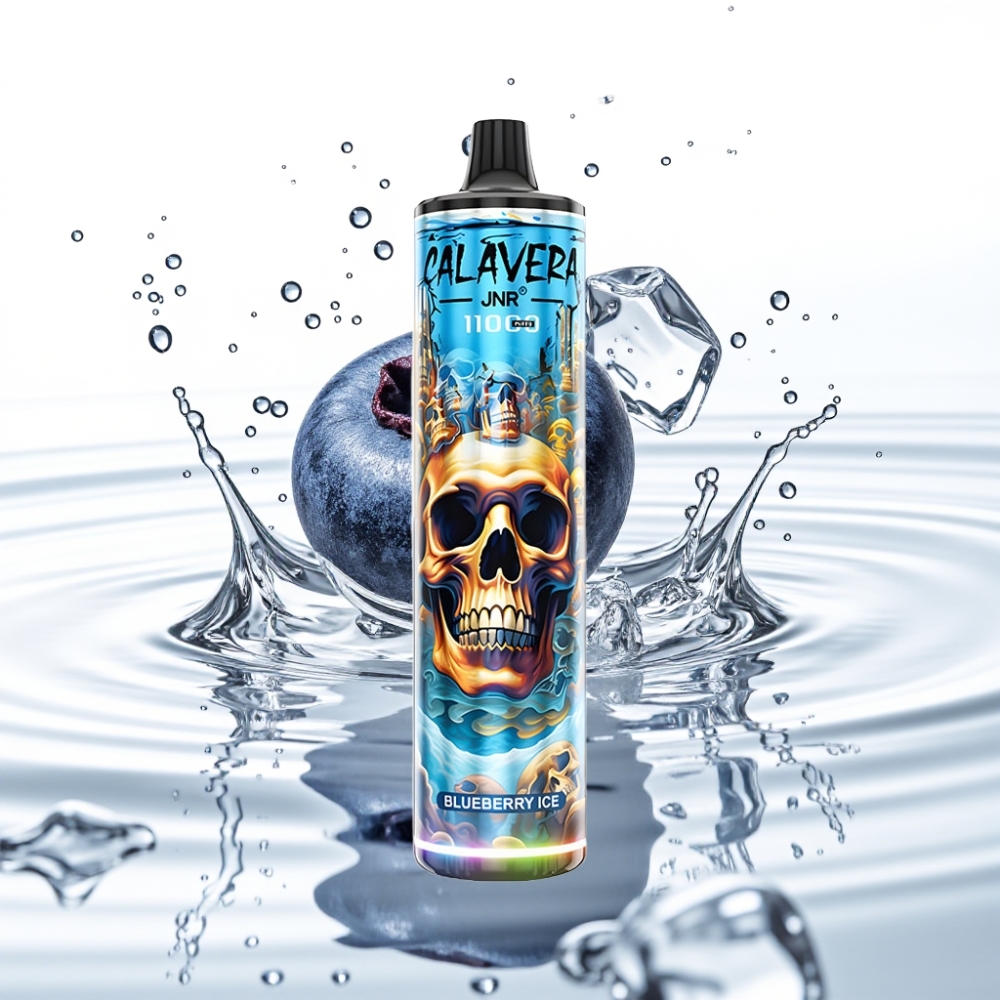 JNR Calavera 11000 Löökid Mustikas-Jää Tüüp-C 850mAh 21ml