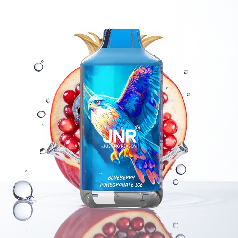 JNR Falcon 16000 Puffs Mustikas Granaatõun Jää 850mAh 22ml Dual Mesh