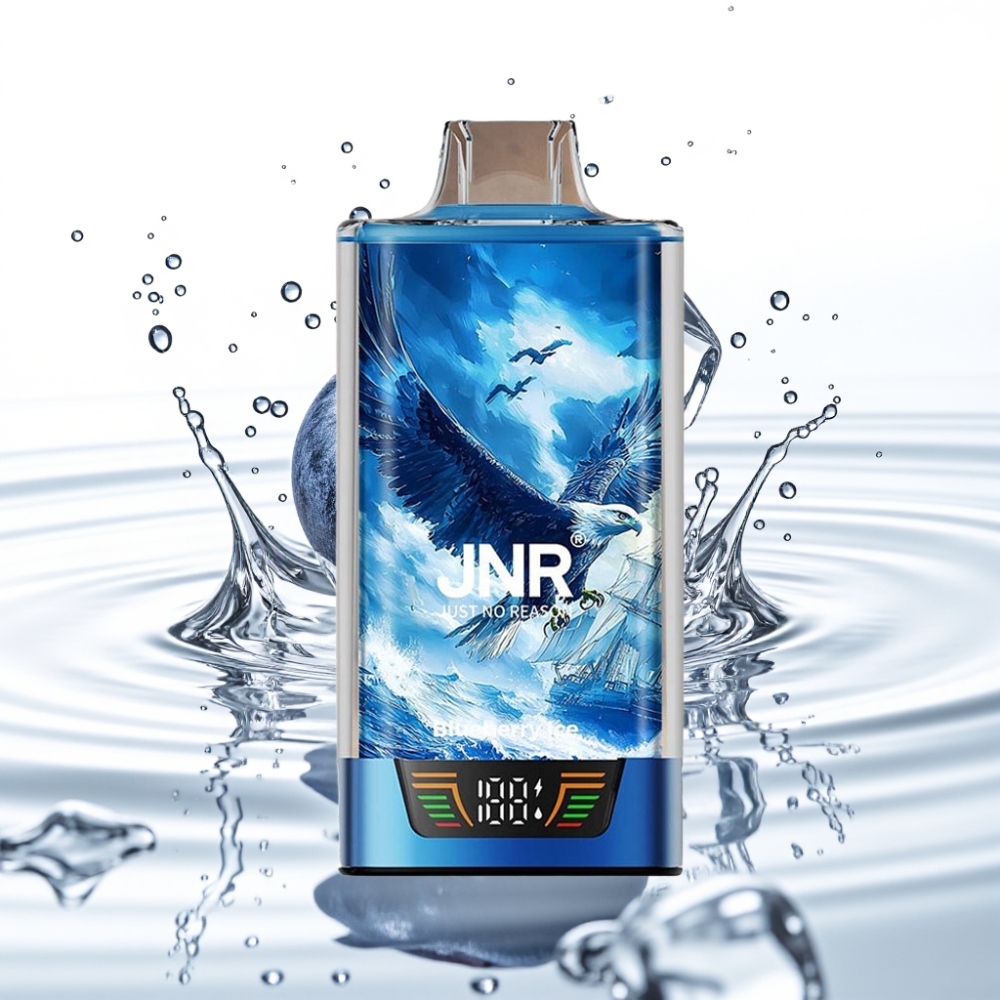 JNR Falcon Pro 28000 Ühekordne Veip Mustikas-Jää 30ml 950mAh