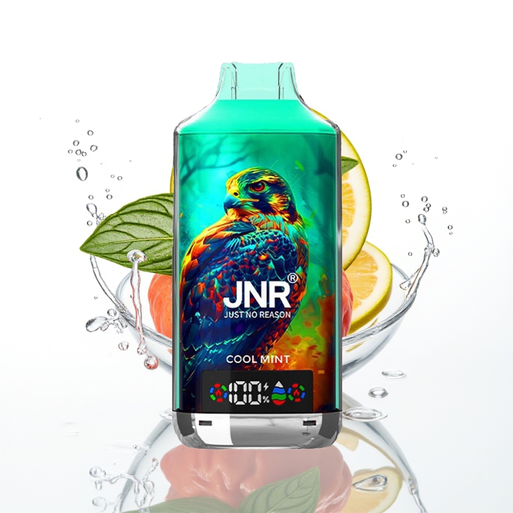 JNR Falcon X 18000 Puffs Jahmint  Kahekordne Mesh