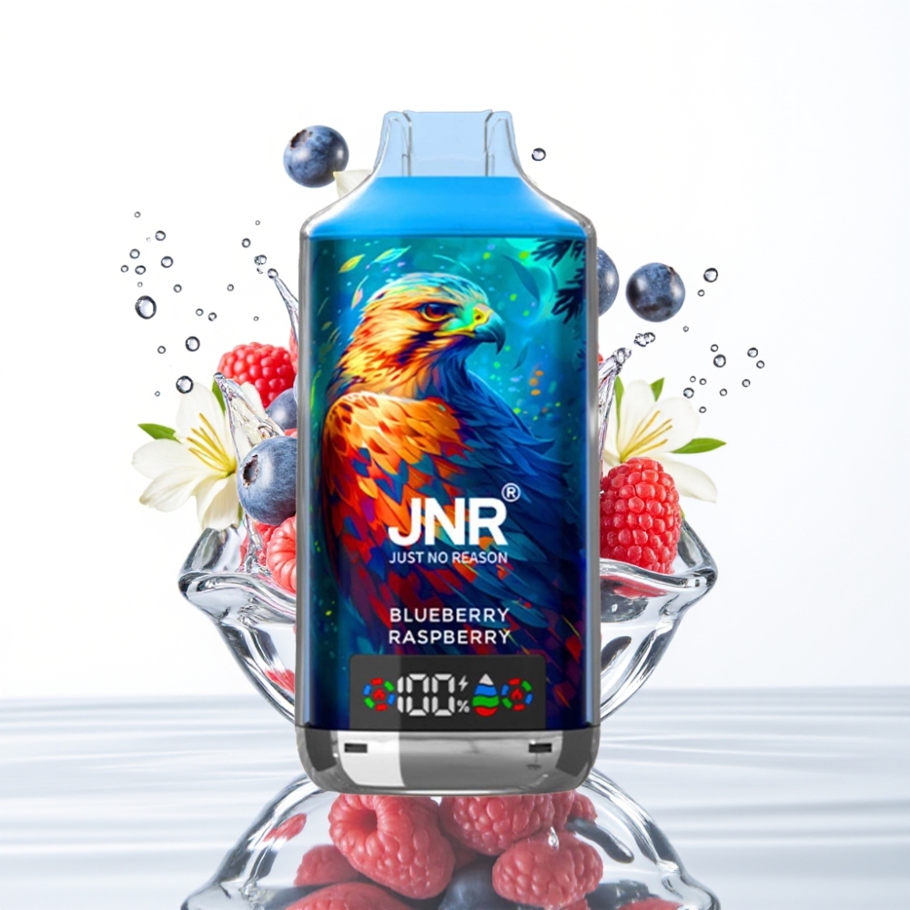 JNR Falcon X 18000 Puffs Mustika Vaarikas Dual Mesh Type-C 750mAh