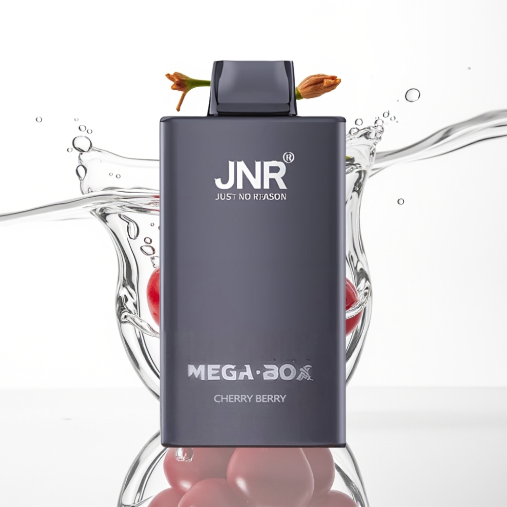 JNR Mega Box 25000 Puffs Disposable Vape Kirsi-Marja