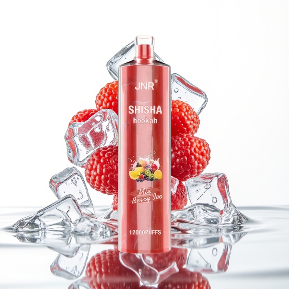 JNR Shisha Hookah 12000 Puffs 24ml 750mAh Marja-Jää