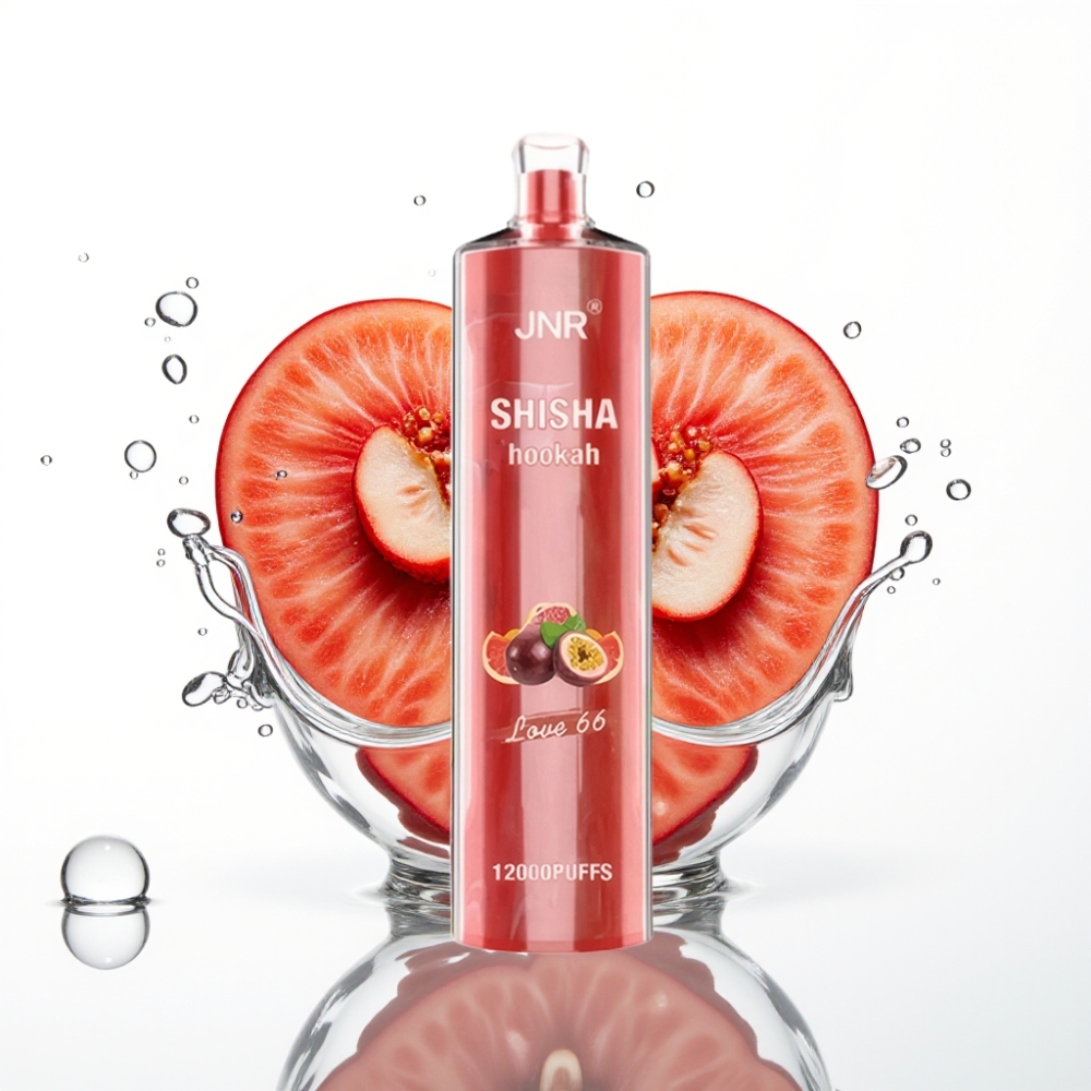 JNR Shisha Hookah 12000 Puffs Armastus 66 24ml 750mAh Type-C
