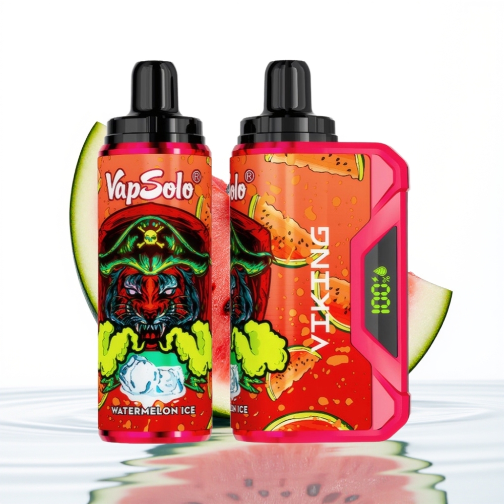 VapSolo VIKING 12000 Puffs Vesine Jää Tüüp-C Laadimine