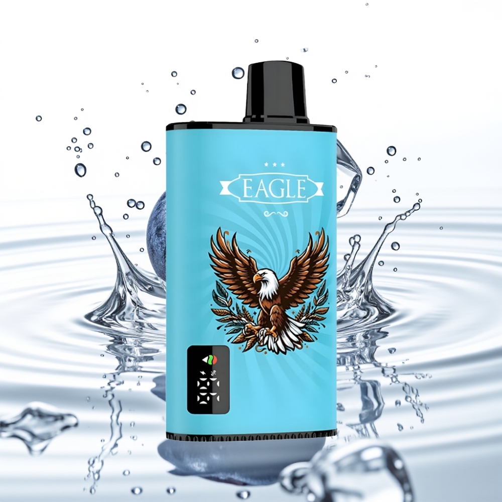 JNR EAGLE Smart 23000 Mahutav Digitaalne Mustikas-Jää