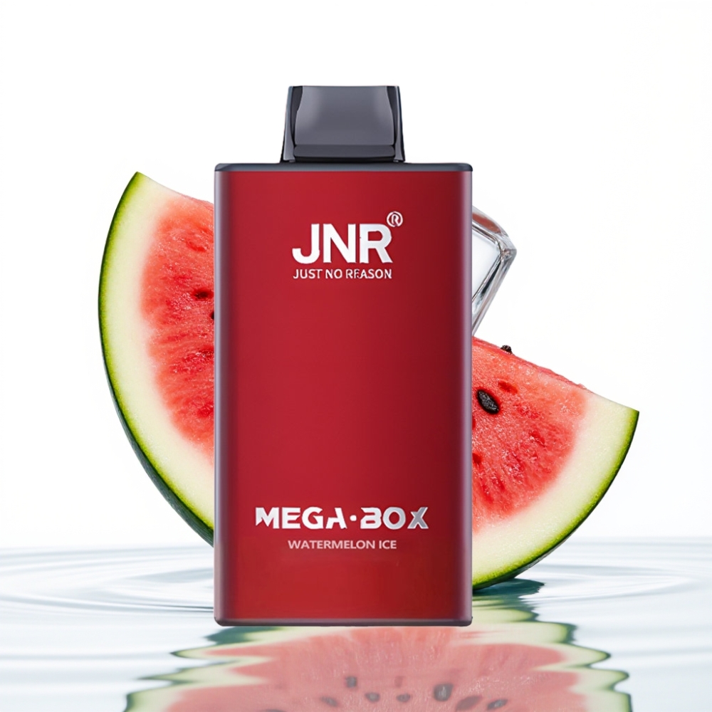 JNR Mega Box 25000 Põhku Ühekordne Veip Arbujää