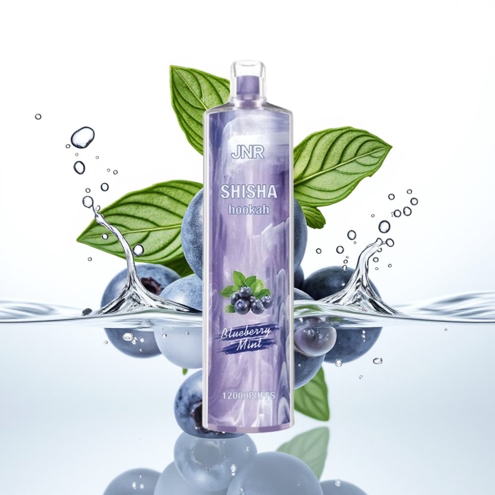 JNR Shisha Hookah 12000 Lööki Mustikas Mädi 24ml 750mAh