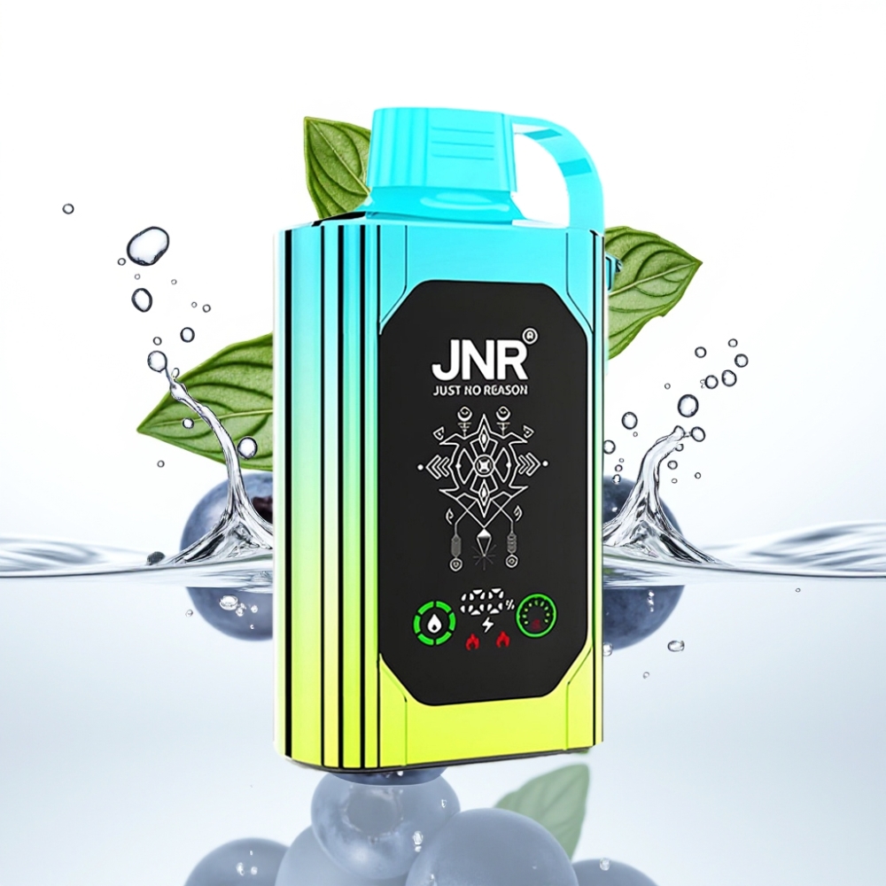 JNR Shisha Hookah Box 20500 Puffs Mustikas-Münt & HD Ekraan, 25ml, Type-C